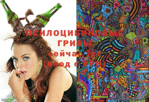mdma Медногорск