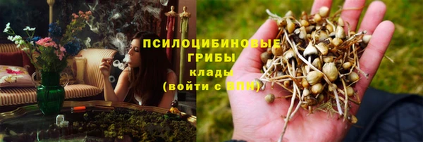 ПСИЛОЦИБИНОВЫЕ ГРИБЫ Майский