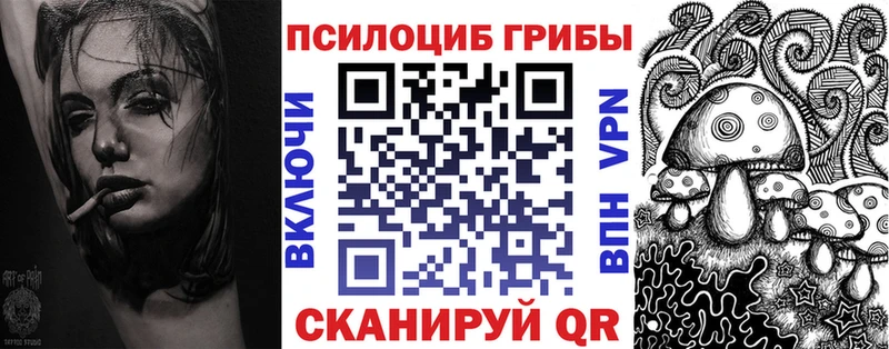 Псилоцибиновые грибы MAGIC MUSHROOMS  купить закладку  Жуковский 