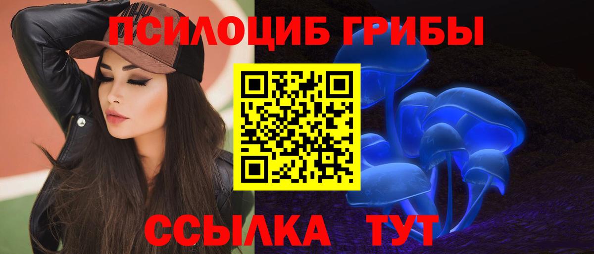 Галлюциногенные грибы прущие грибы  Вход с VPN  Жуковский  Псилоцибиновые грибы Cubensis 